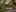Park Rapijnen Exterieur Erfwoningen 3 2048 X 1536